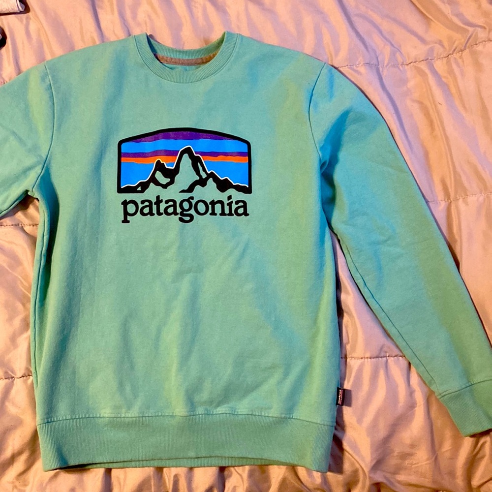 Patagonia sweatshirt